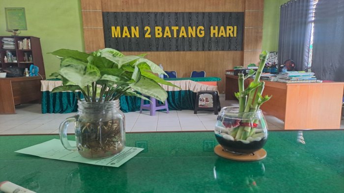 Madrasah Asri dengan Bunga Bersemi